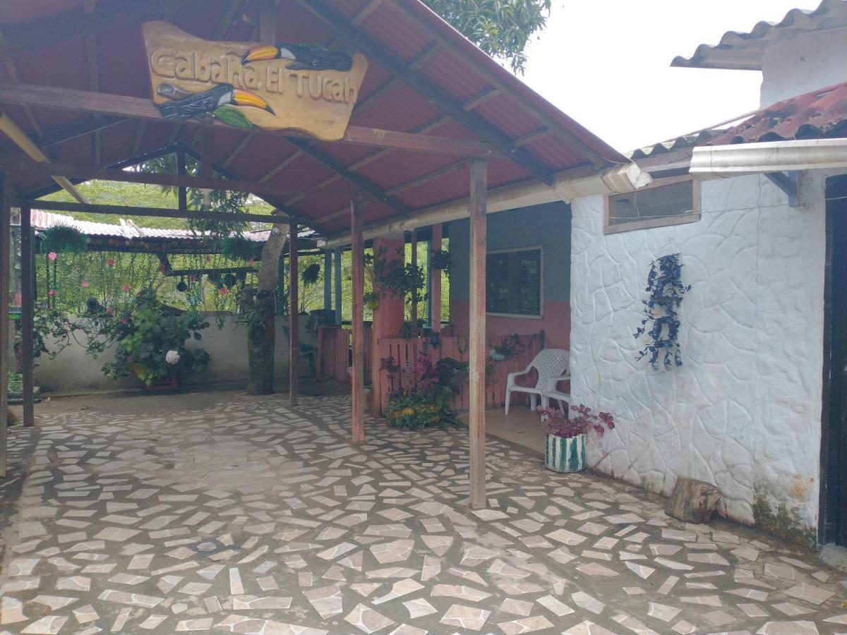 Cabana El Tucan Minca Extérieur photo